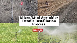 Micro Sprinkler Installation process  Micro Irrigation system [upl. by Yllet686]