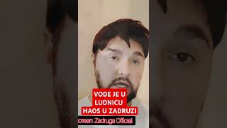 VODE JE U LUDNICU HAOS U ZADRUZI [upl. by Brace]