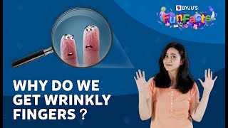 What Causes Wrinkly Fingers  BYJUS Fun Facts [upl. by Nauqel]