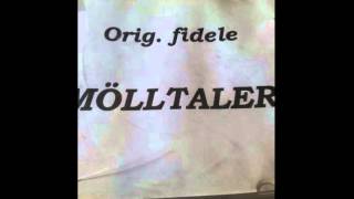 Die fidelen Mölltaler Bierfass Polka [upl. by Quint]