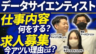 データサイエンティストってどんな仕事？エンジニアからおすすめのキャリアチェンジ！？幅広い仕事内容から実際の求人の探し方までIT転職のプロであるモローがぶっちゃけてみた IT転職 エンジニア転職 [upl. by Grefer]