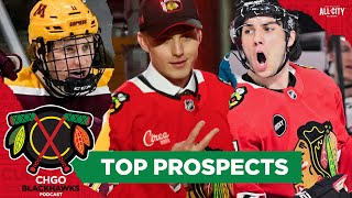 Where does Artyom Levshunov rank among Chicago Blackhawks top 5 prospects  CHGO Blackhawks Podcast [upl. by Pouncey221]