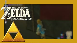 Das Versteck der Yiga ⚔️ The Legend of Zelda Breath of The Wild 049 [upl. by Wash]