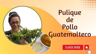 Pulique de Pollo Guatemalteco [upl. by Erlina]