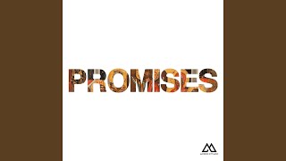 Promises Radio Version [upl. by Pearson129]