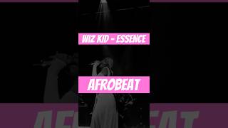 LO MEJOR DEL AFROBEAT  Wizkid  Essence ft Tems  DOMINGO de AFROBEAT [upl. by Iknarf667]