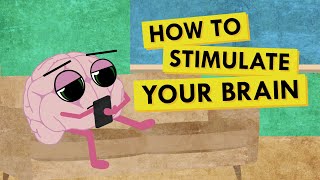 How to Give Your Brain the Stimulation It Needs [upl. by Jasik]