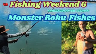 Majestic Rohu Fishing in Mahanadi river Huge Catches amp Serene Views 🌊 RohuFishing ମହାନଦୀରେମାଛ [upl. by Yasmeen]