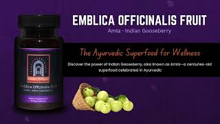 Our Indian Gooseberry Supplement  Amla Supplements  Creator Wellness  IIS USA [upl. by Orferd]