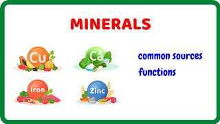 Minerals 16 Types Functions and Sources [upl. by Jori321]