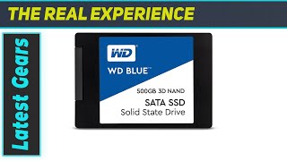 Western Digital WD Blue 3D NAND A Solid Upgrade [upl. by Nareik]