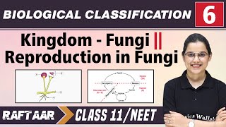 Biological Classification 06  Kingdom  Fungi l Reproduction in Fungi l Class 11NEET [upl. by Goodson]