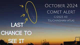 Comet Alert How to See TsuchinshanATLAS in the Night Sky [upl. by Lenora]