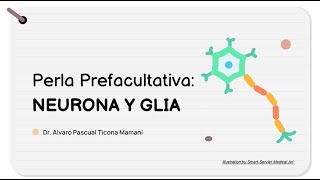 Perla Prefacultativa 19  Neurona y Neuroglia HISTOLOGIA Tema 7 [upl. by Jenelle]