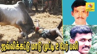 2 Killed 50 Injured in Jallikattu at Pudukottai  Latest Tamil News [upl. by Curson450]