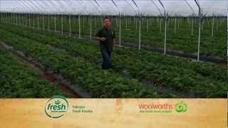 Woolworths Fresh Market Update  Strawberries [upl. by Nirrep]