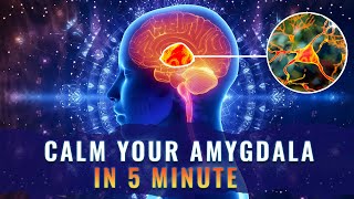 40Hz Calm Your Amygdala  Surreal Meditation Music For Amygdala Stimulation  Brain Calming Music [upl. by Annadroj963]