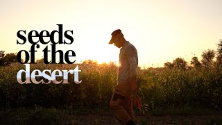 My Farm Dubai  100 Biodynamic Farm In The Dubai Desert 4K Short Documentary [upl. by Akemaj]