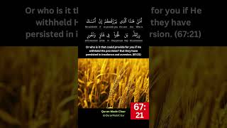 🔴6721 Surah Al Mulk  If He withheld His provision  Mishary  Quran Made Clear QMC [upl. by Kaila]