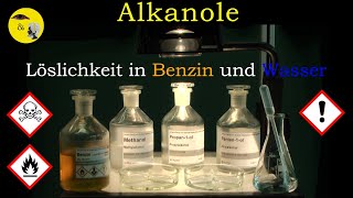 Alkanole  Löslichkeit in Benzin und Wasser Methanol Propanol Pentanol [upl. by Tressa46]