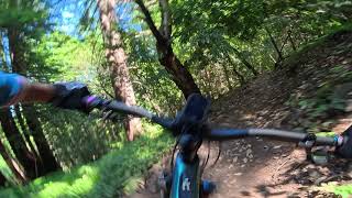 UCSC Dustys first run with the new Specialized Turbo Levo SL Gen2 [upl. by Drareg]