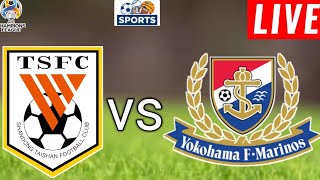 Shandong Taishan vs Yokohama F Marinos Match Prediction l AFC Champions League 2024 [upl. by Ermanno]