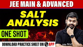 SALT ANALYSIS in 1 Shot  All Concepts Tricks amp PYQs Covered  JEE Main amp Advanced [upl. by Davita]