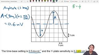 72a Ex2 MJ20 P12 Q23 CRO Readings  AS Waves  Cambridge A Level 9702 Physics [upl. by Farhi]