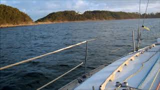 Whales in Crookhaven river [upl. by Yerkovich]