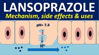 Lansoprazole  Mechanism side effects interactions and uses [upl. by Reviel]