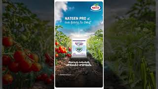 Protect Your Crops with NATGEN PRO Advanced CTPR Granules [upl. by Vokay]