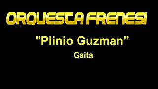 Orquesta Frenesi  Plinio Guzman [upl. by Oile]