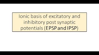 EPSP and IPSP [upl. by Sefton345]