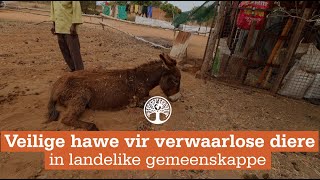 Veilige hawe vir verwaarlose diere in landelike gemeenskappe [upl. by Nofets]