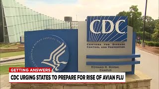 CDC urging states to prepare for possible rise of avian flu [upl. by Broddy]