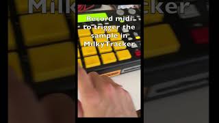 MilkyTracker  MPC1000 akai mpc1000 sampler 2024 amiga boombap beats 1200 500 midi [upl. by Solorac]