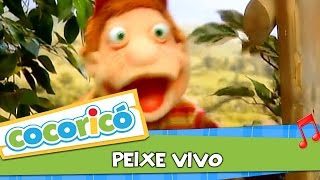 Videoclipe  Peixe Vivo [upl. by Thornton]