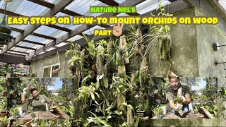 Here is another tutorial on mounting orchids Easy fun steps that anyone can put together [upl. by Harvie328]