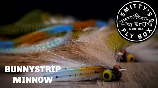 BunnyStrip Minnow [upl. by Nahte]