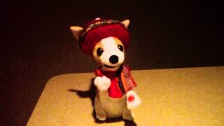 Christmas Chihuahua sings Donde Esta Santa Claus [upl. by Modestia]