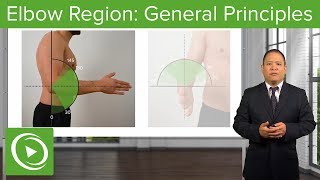 Elbow Region General Principles – Osteopathic Manipulative Medicine OMM  Lecturio [upl. by Aciria]