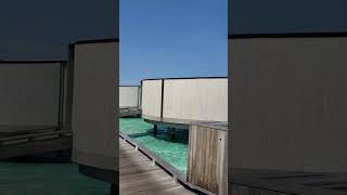 Overwater Villas Jetty The RitzCarlton Maldives Fari Islands June 2024 RitzCarltonMaldives [upl. by Qooraf]