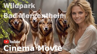 Wildpark Bad Mergentheim Der Film [upl. by Eet355]