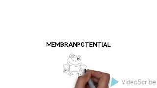 Membranpotential Teil 1  Biologie [upl. by Sayer]