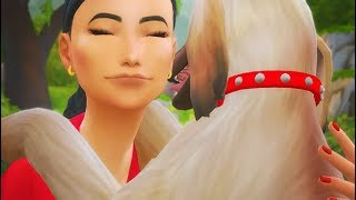 BECOME A DOG SITTER 🐶 SCHEDULE WORK DAYS PICK CLIENTS amp MORE  THE SIMS 4  CUSTOM JOBS [upl. by Ellives463]