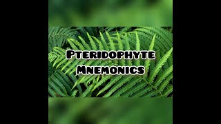 Simple Mnemonics to learn Pteridophytes examples  Class 11  Biology  NEET [upl. by Farris]