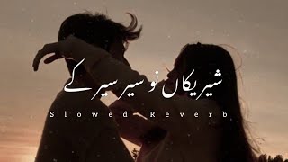 Shareekan Nu Sarh Sarh Ke  Slowed Reverb Mushtaq Ahmed Cheena  Saraiki Song 2024 [upl. by Mary743]