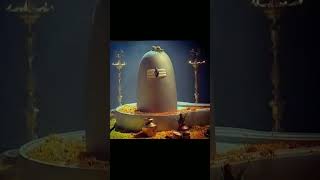 Ye dil dhadakta hai mahadev ke naam se har har mahadev🕉️🔱🙏viralvideo [upl. by Atyekram245]