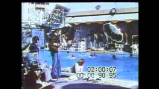 1940s Hollywood Classic Pool [upl. by Tjon192]