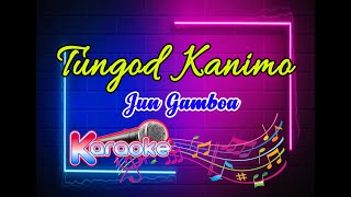 Tungod Kanimo by Jun Gamboa Karaoke minus one instrumental [upl. by Croom]